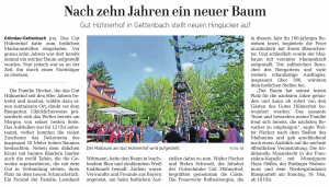 Feierliches Maibaum-Stellen