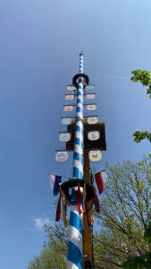 Feierliches Maibaum-Stellen