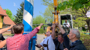 Feierliches Maibaum-Stellen