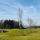 Spring golf park Gut Hühnerhof2