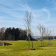 Frühling Golfpark Gut Hühnerhof2